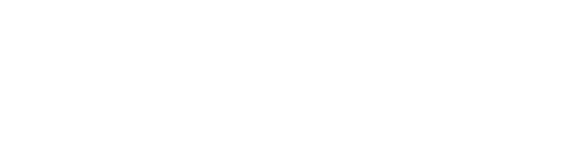 PloomSocial Logo - 2024 - White